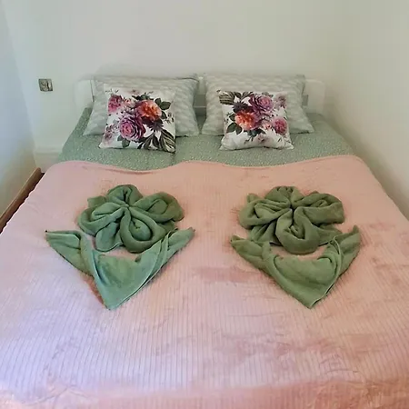 Apartament Dzika Roza Apartment Kowary