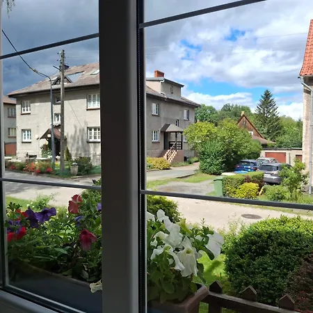 Apartament Dzika Roza *